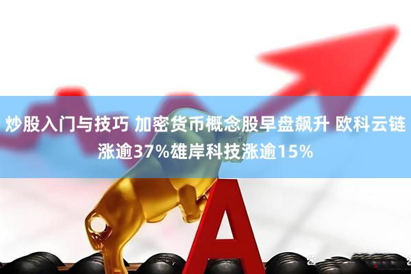 炒股入门与技巧 加密货币概念股早盘飙升 欧科云链涨逾37%雄岸科技涨逾15%