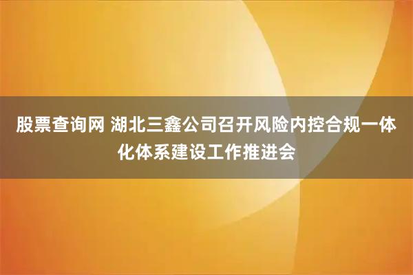 股票查询网 湖北三鑫公司召开风险内控合规一体化体系建设工作推进会